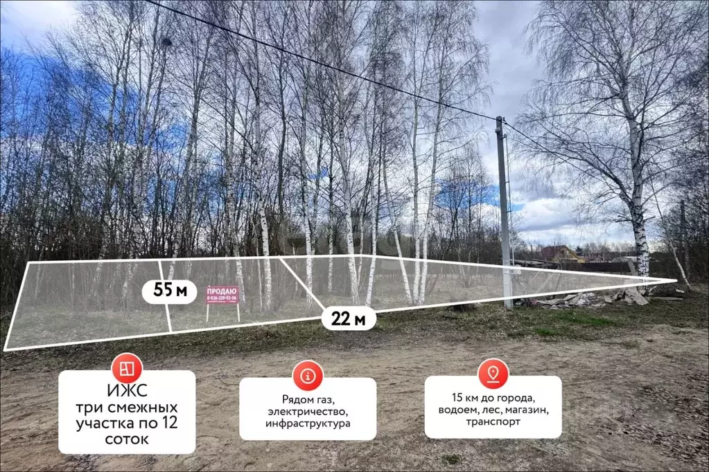 Участок в Московская область, Коломна городской округ, с. Нижнее ... - Фото 1