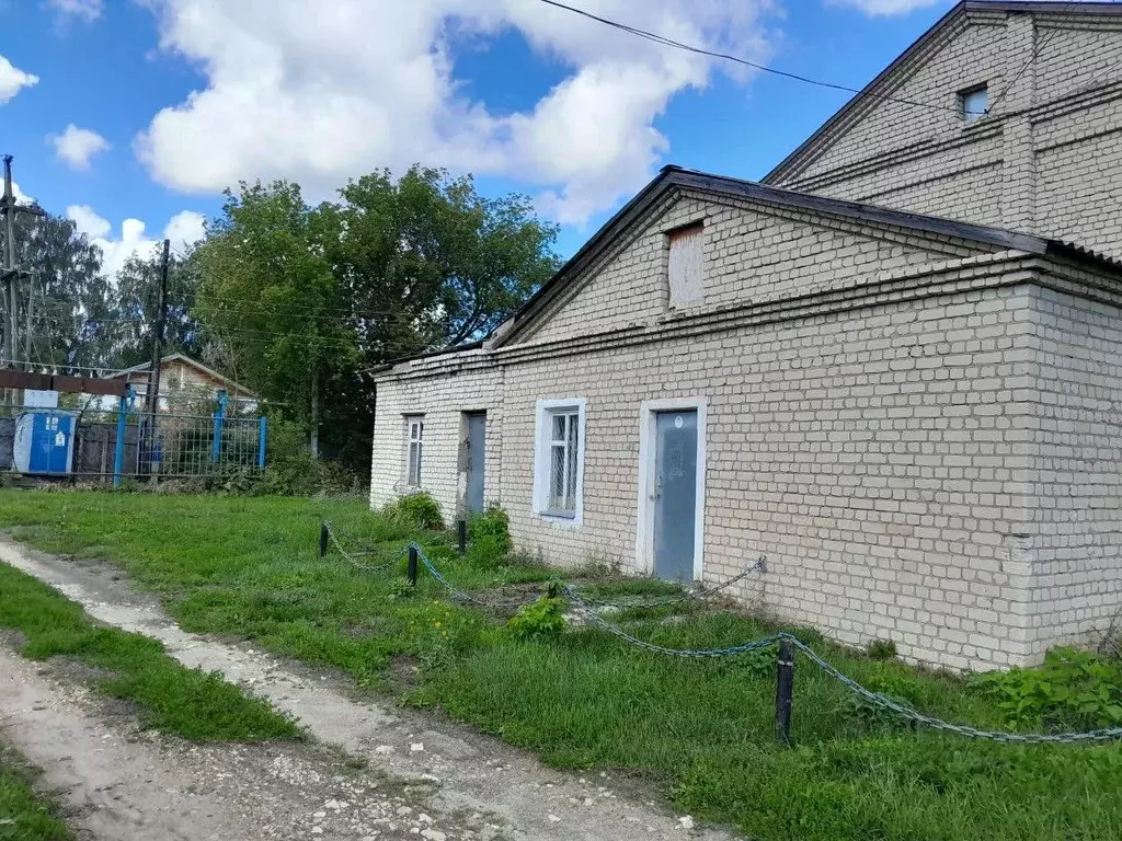 Помещение свободного назначения в Нижегородская область, с. Гагино ул. ... - Фото 0