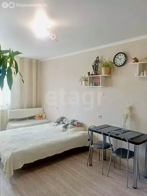 Квартира-студия: Анапа, улица Адмирала Пустошкина, 22к12 (24.7 м) - Фото 2