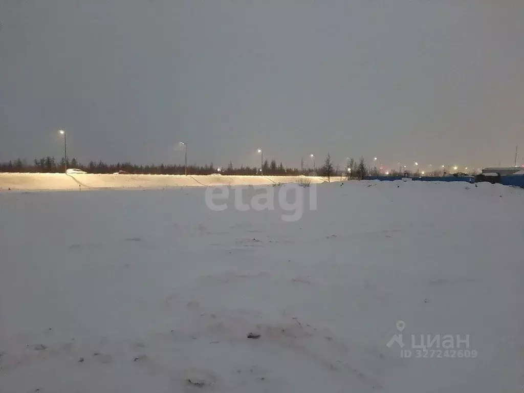 Участок в Ямало-Ненецкий АО, Новый Уренгой Г панель,  (9488.0 сот.) - Фото 1