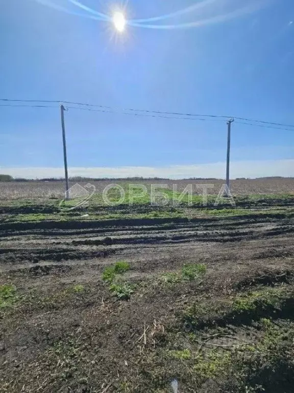 Участок в Тюменская область, Тюменский район, с. Червишево  (8.8 сот.) - Фото 1