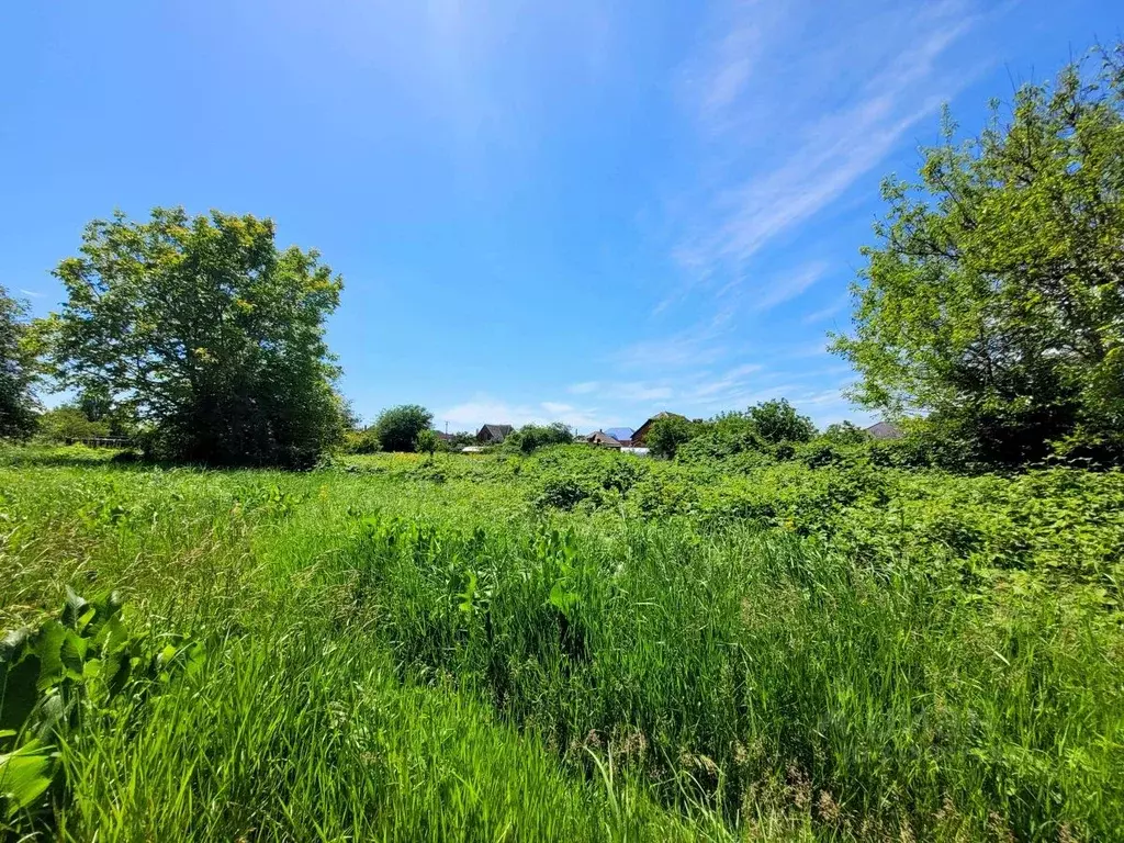 Участок в Краснодарский край, Северский район, Ильское городское ... - Фото 1