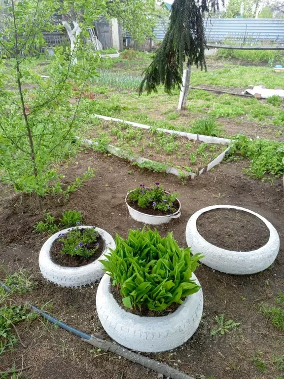 Дом в Омская область, Омск СОСН Колос-2 тер.,  (10 м) - Фото 2
