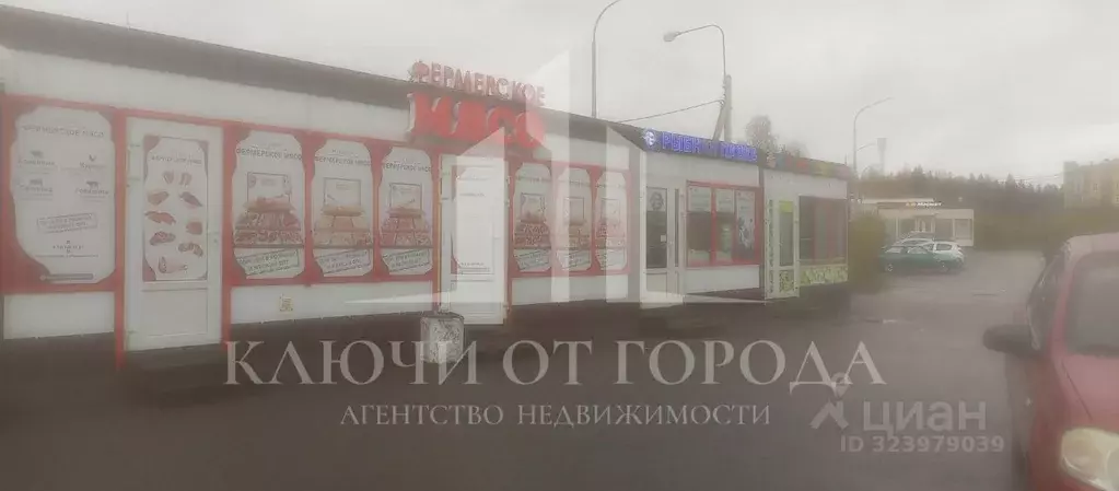Торговая площадь в Ленинградская область, Сертолово Всеволожский ... - Фото 1