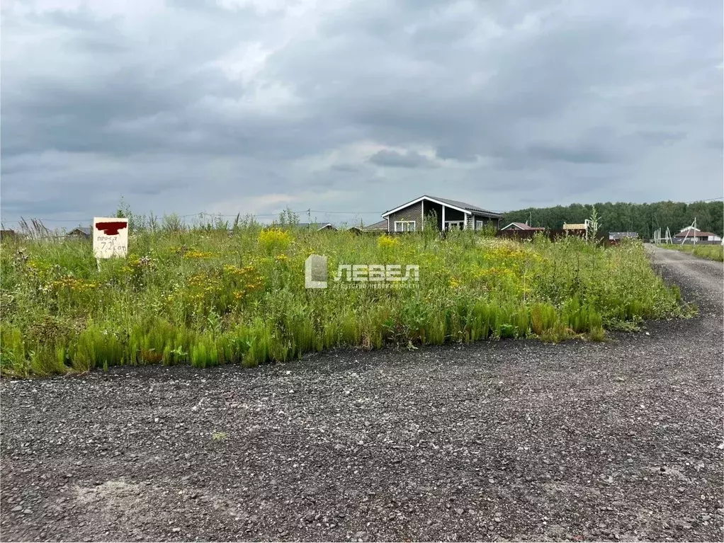 Участок в Московская область, Домодедово городской округ, с. Юсупово ... - Фото 1