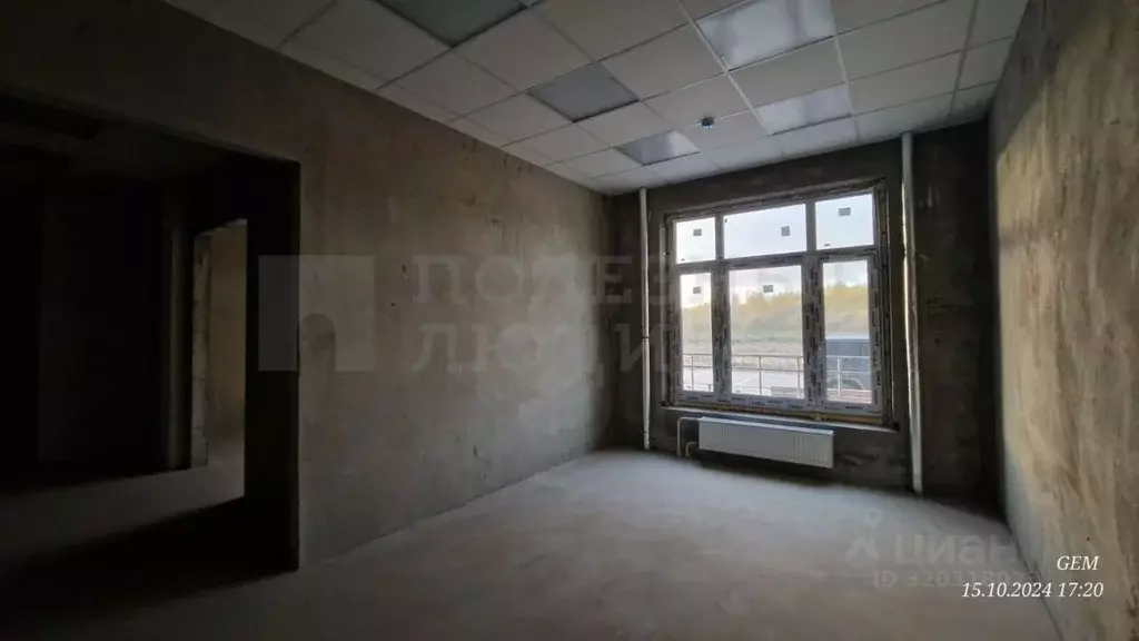 Помещение свободного назначения в Новгородская область, Великий ... - Фото 1