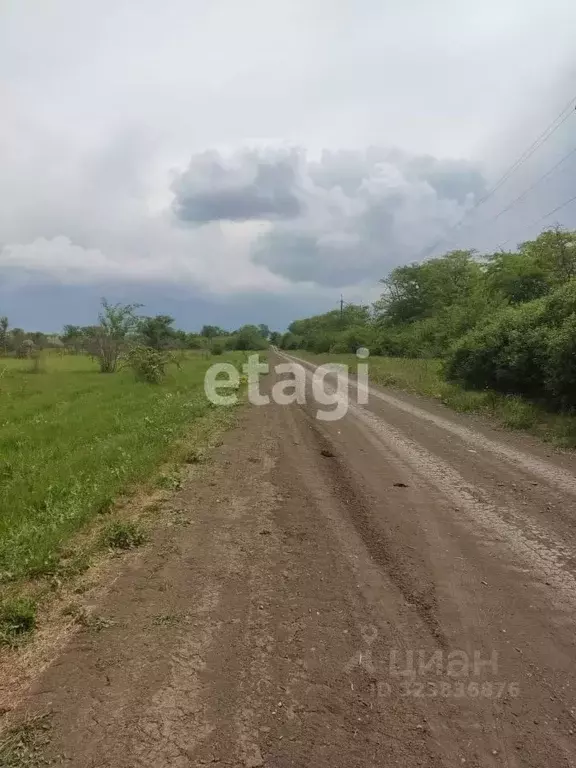 Участок в Ростовская область, Азов Азовский район,  (11.48 сот.) - Фото 1