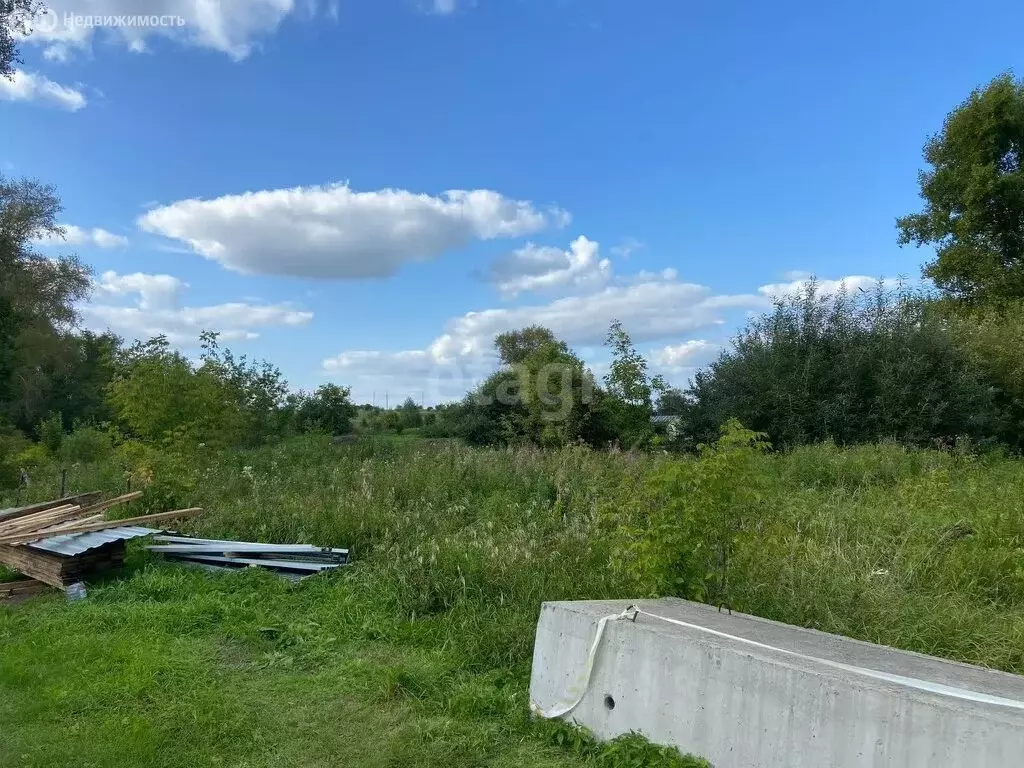 Участок в село Галкинское, улица Мира (14 м) - Фото 2