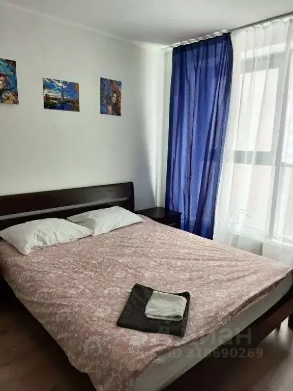 1-к кв. Санкт-Петербург пос. Парголово, проезд Толубеевский, 8к2 (26.0 ... - Фото 0