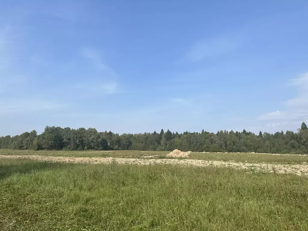 участок в московская область, пушкинский городской округ, д. василево . - Фото 0