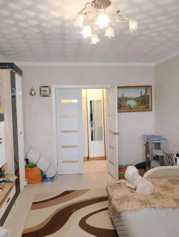 3-к кв. Калужская область, Обнинск Белкинская ул., 27 (66.3 м) - Фото 1