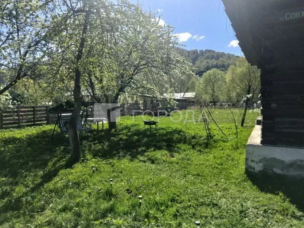 Дом в Алтай, Майминский район, с. Бирюля Совхозная ул., 18 (59 м) - Фото 1