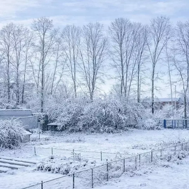 Участок в Башкортостан, Стерлитамак ул. 7 Ноября (8.1 сот.) - Фото 1