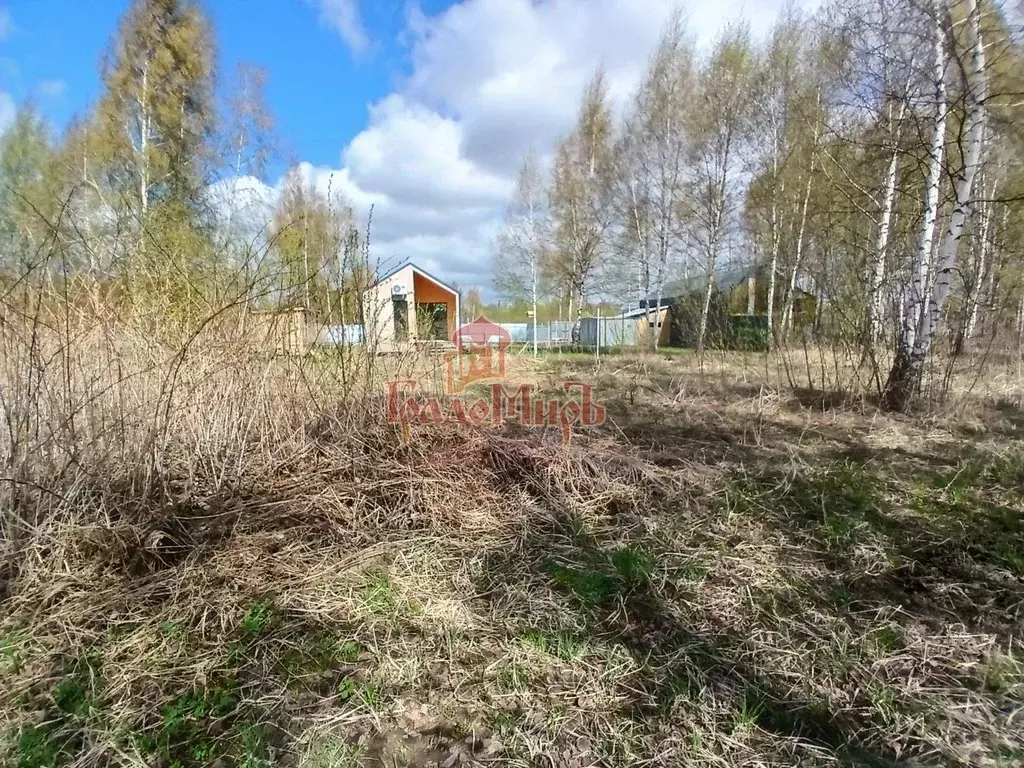 Участок в Владимирская область, Александровский район, Андреевское ... - Фото 1