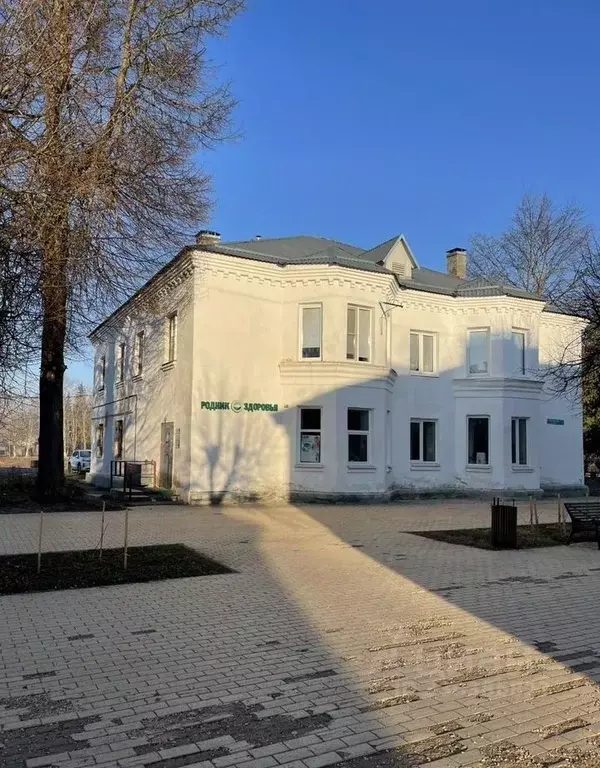 2-к кв. Новгородская область, Старая Русса ул. Воскресенская, 1 (46.0 ... - Фото 1