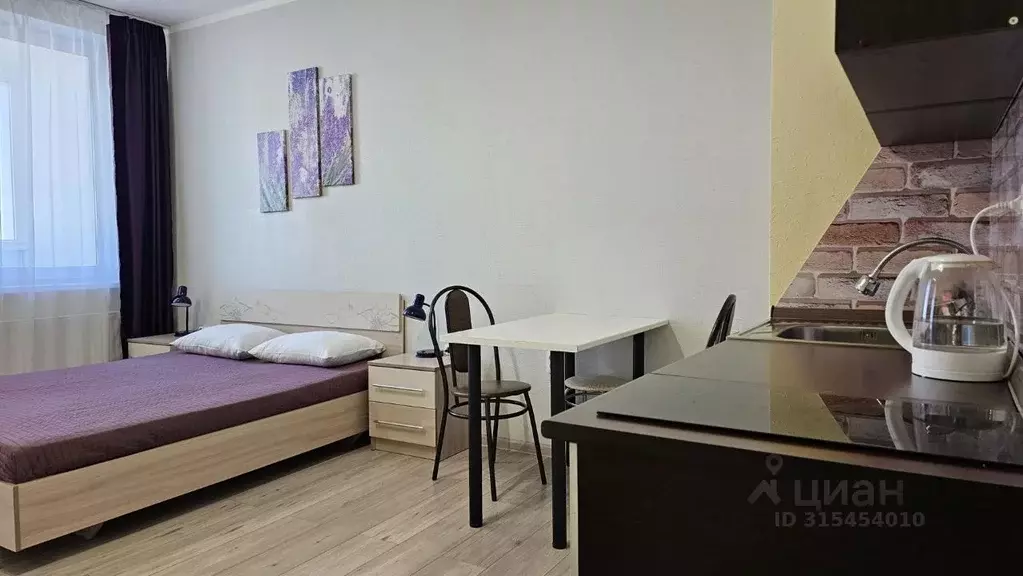 1-к кв. Свердловская область, Екатеринбург ул. Азина, 22/7 (28.0 м) - Фото 1