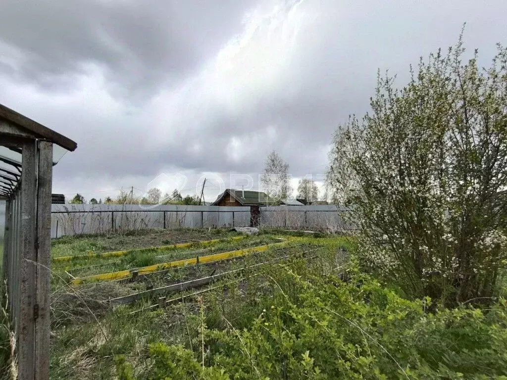 Участок в Тюменская область, Тюмень Меридиан СНТ, ул. Садовая (5.0 ... - Фото 2