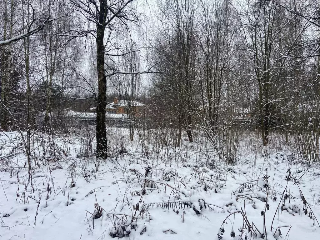 Участок в Москва д. Милюково, ул. Русская Деревня, 68 (10.0 сот.) - Фото 1