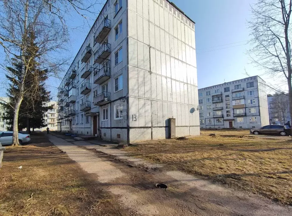 2-к кв. Псковская область, Гдовский район, Добручинская волость, пос. ... - Фото 1