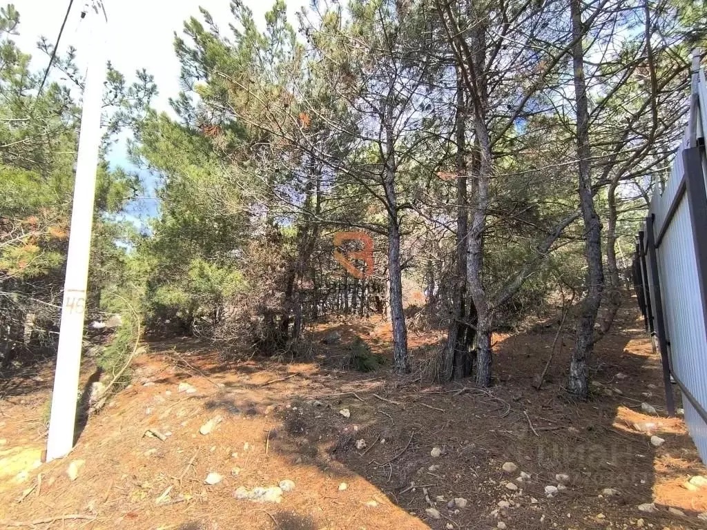 Участок в Севастополь пер. Кофейный, 5 (9.0 сот.) - Фото 1