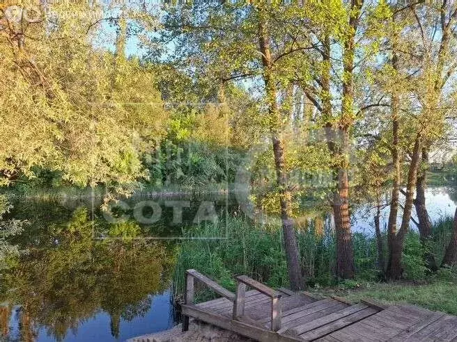 Участок в Новоусманский район, Усманское 1-е сельское поселение, СНТ ... - Фото 2