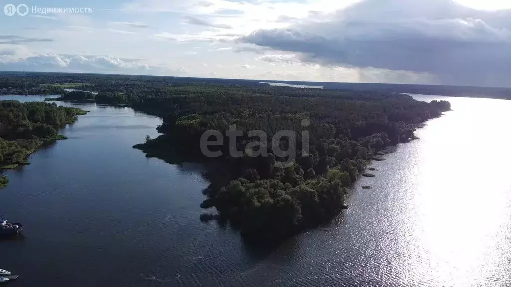Участок в Конаково, микрорайон Зелёный Бор (265.15 м) - Фото 0