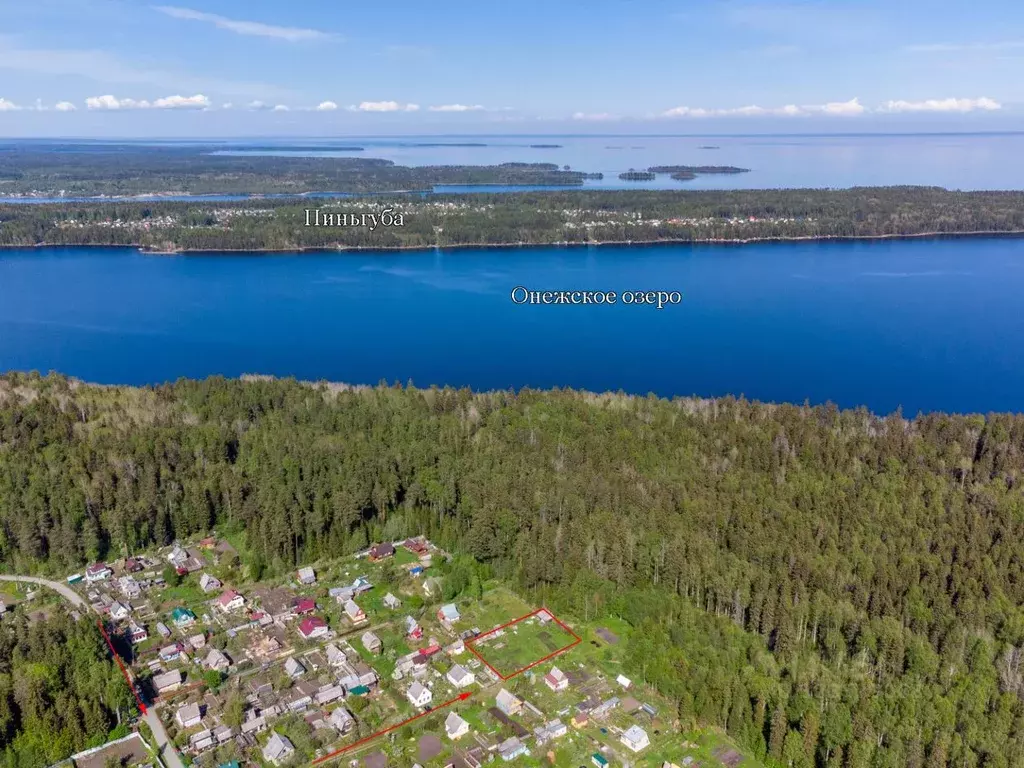 Участок в Карелия, Прионежский район, Заозерское с/пос, Малиновка СНТ  ... - Фото 1