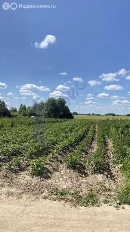 Участок в Нижегородская область, Городецкий муниципальный округ, ... - Фото 1