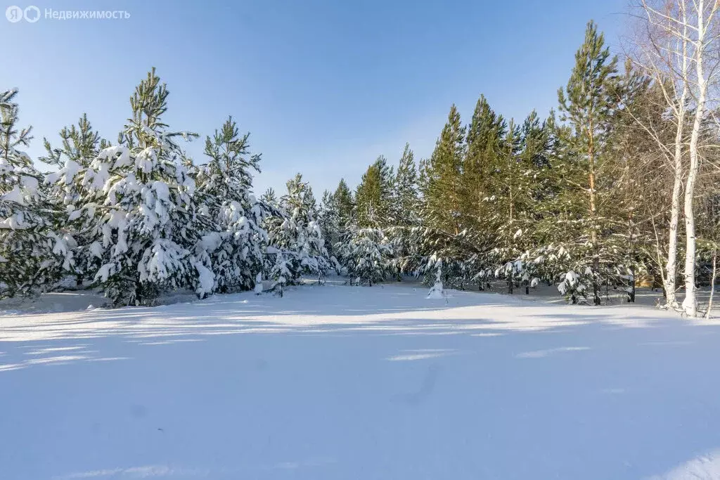 Участок в Тукаевский район, Биюрганское сельское поселение, деревня ... - Фото 1