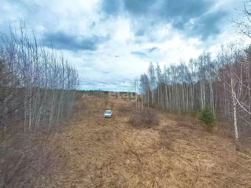 Участок в Тюменская область, Нижнетавдинский район, Земляника кп  (8.8 ... - Фото 0