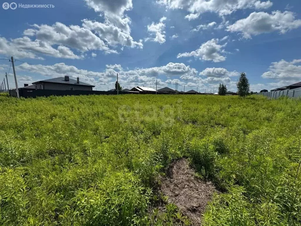 Участок в Тульская область, городской округ Тула, деревня Верхняя ... - Фото 2