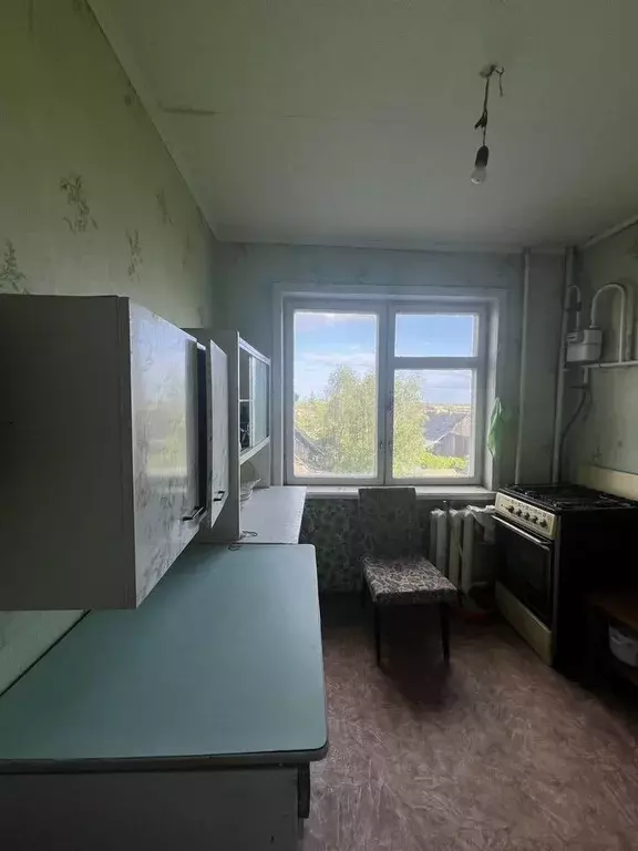 2-к кв. Новгородская область, Новгородский район, Борковское с/пос, д. ... - Фото 0