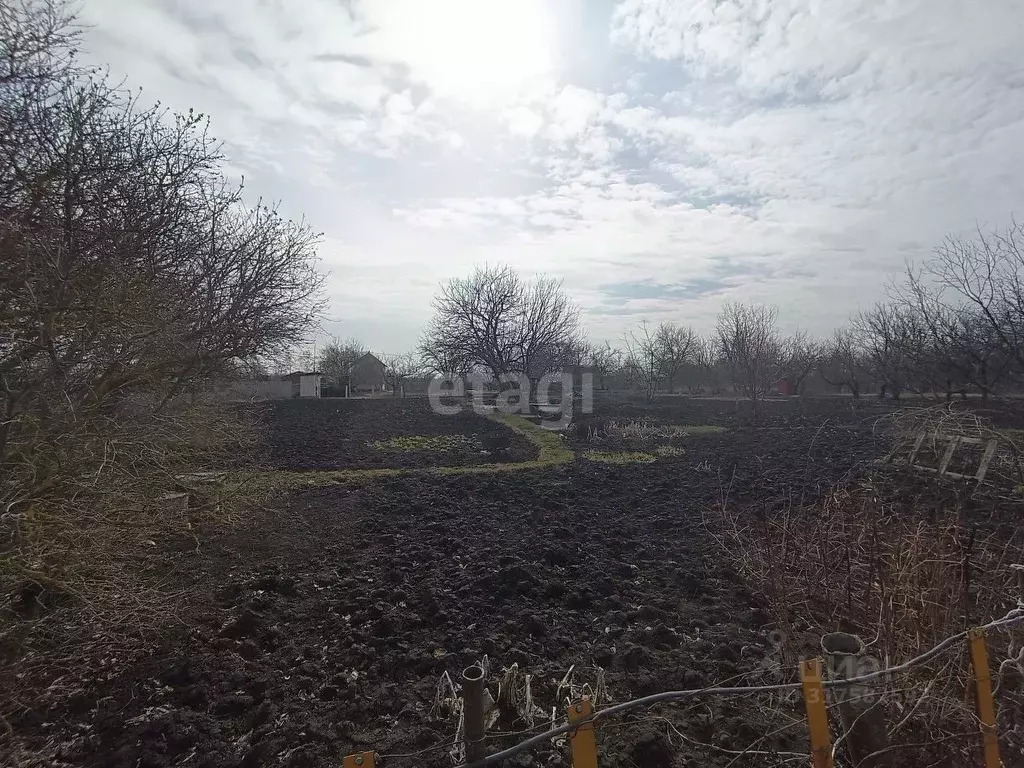 Участок в Белгородская область, Яковлевский муниципальный округ, Нива ... - Фото 0