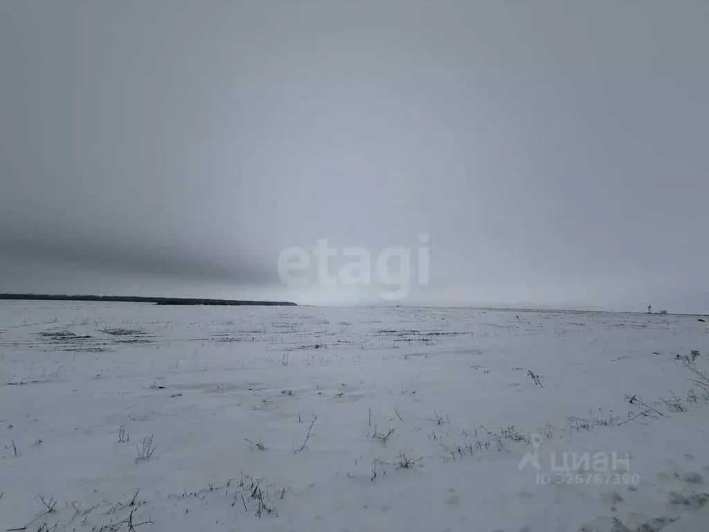 Участок в Белгородская область, Яковлевский муниципальный округ, с. ... - Фото 2
