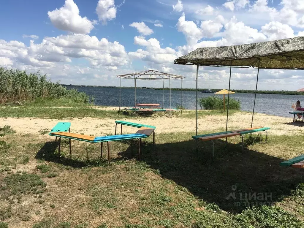 Участок в Волгоградская область, Волгоград Янтарь СНТ, ул. 6-я (6.0 ... - Фото 1