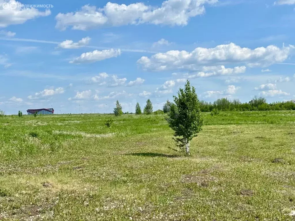 Участок в Республика Мордовия, городской округ Саранск, посёлок ... - Фото 1