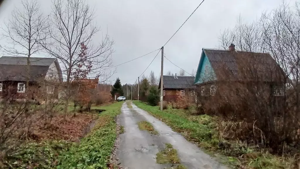 Участок в Ленинградская область, Тихвинский район, Цвылевское с/пос, ... - Фото 1