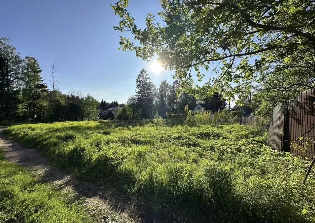 Участок в Ленинградская область, Кировское городское поселение, ... - Фото 1