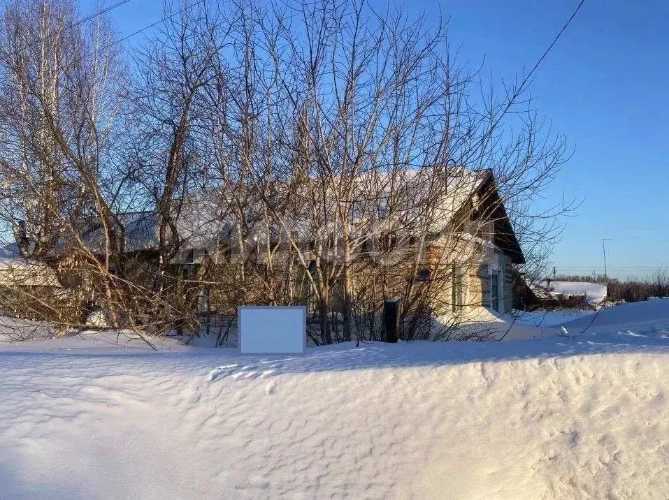 3-к кв. Новосибирская область, Мошковский район, с. Сокур ул. ... - Фото 1