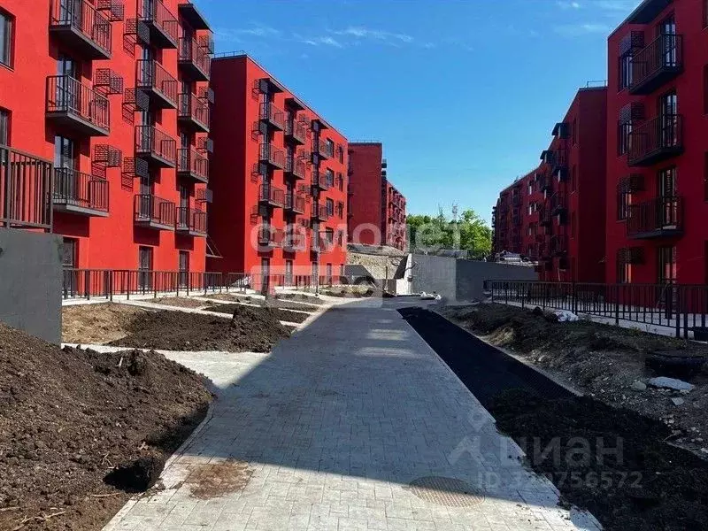 Студия Приморский край, Владивосток Главная ул., 31к1 (26.0 м) - Фото 0