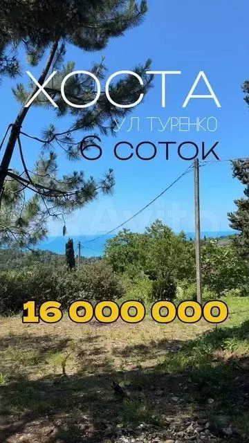 Участок 6 сот. (СНТ, ДНП) - Фото 1