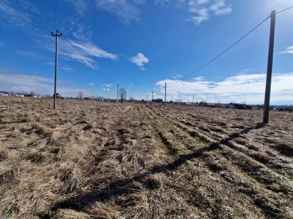 Участок в Новгородская область, Новгородский район, Трубичинское ... - Фото 1