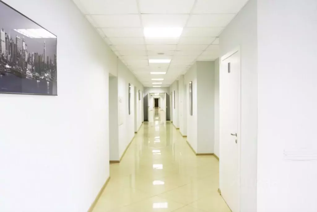 Офис в Москва Научный проезд, 8С1 (74 м) - Фото 1