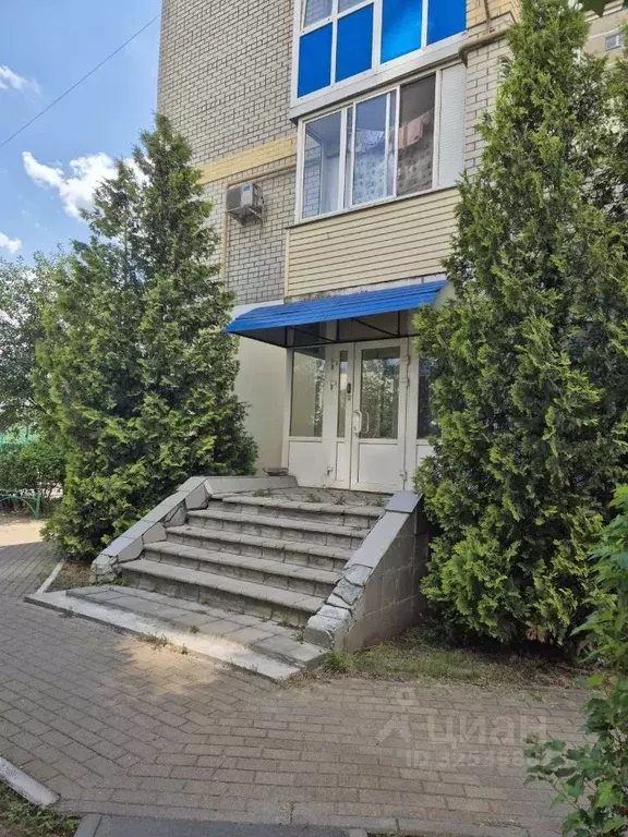 Помещение свободного назначения в Брянская область, Брянск ул. ... - Фото 1