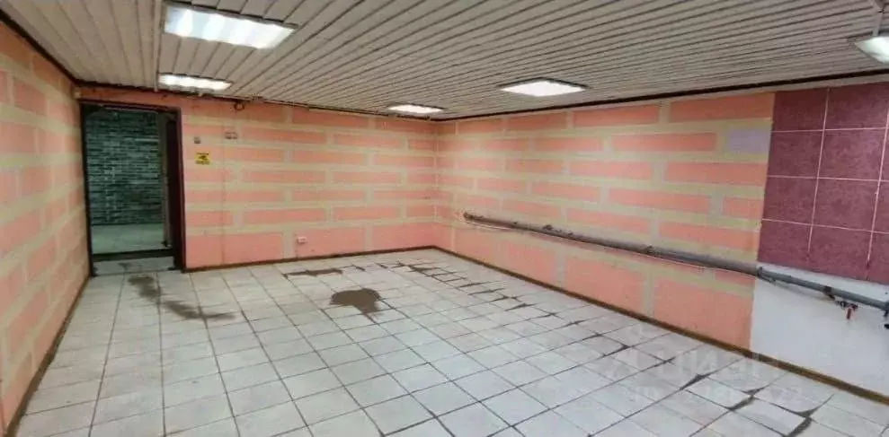 Торговая площадь в Санкт-Петербург Среднеохтинский просп., 25/19 (230 ... - Фото 2