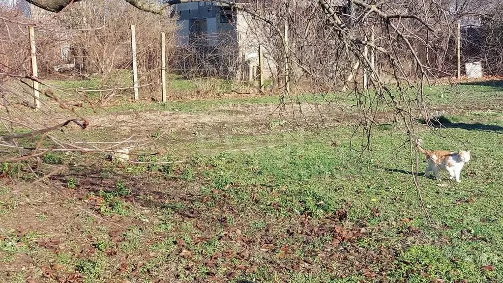 Участок в Крым, Кировское пгт ул. 1-я (4.9 сот.) - Фото 0