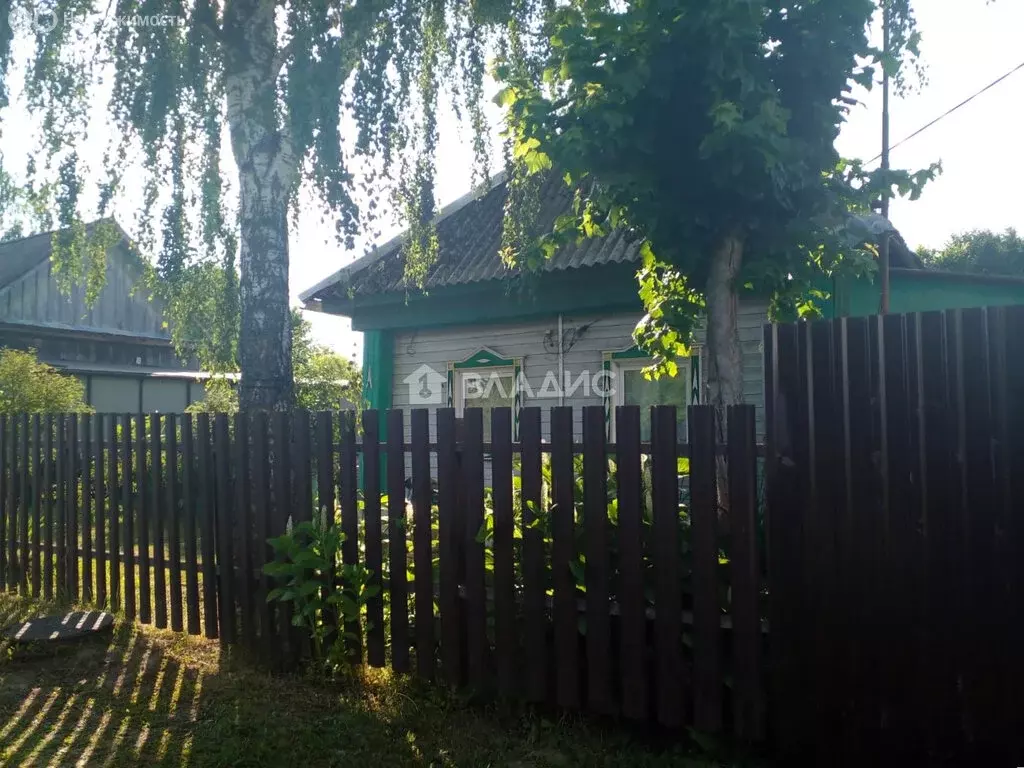 Дом в село Нижние Прыски, Турбинная улица, 15 (50.9 м) - Фото 0