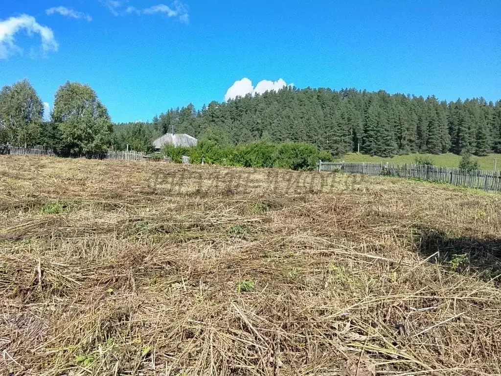 Участок в Алтай, Майминский район, с. Александровка Заречная ул. (25.0 ... - Фото 1