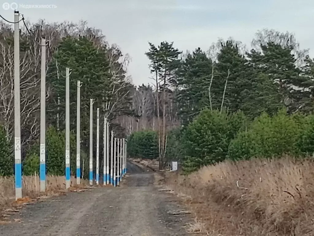 Участок в Московская область, городской округ Ступино, село Ивановское ... - Фото 2