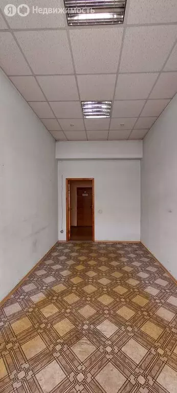 Офис (16.1 м) - Фото 2